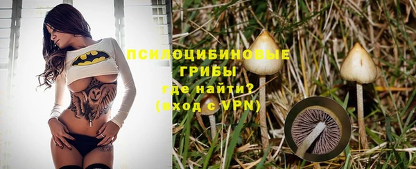винт Верхний Тагил