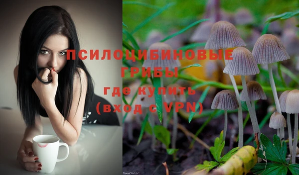 крисы Верхнеуральск